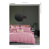 被窝窝100支纯色抗菌暖绒全棉磨毛刺绣四件套