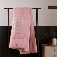 被窝窝复合奥绒棉蚕丝春夏秋冬被