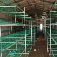 逐鹿中原标准智能TY0567化菇房床架金属置物架110*160*250