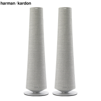 哈曼卡顿（harman/kardon）CITATION音乐魔力 无线5.1家庭影院 多媒体音响 音箱 TOWER/对 灰