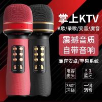 vbnm变声器无线话筒音响一体麦克风k歌神器扩音器万能话筒无线麦克风