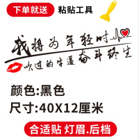 适用汽车个性励志文字车贴搞笑段子网红创意装饰后档划痕灯眉贴纸改装 奋斗终生黑色一张