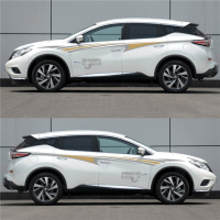 适用新款楼兰车贴拉花新楼兰个性车身遮挡划痕贴纸全车贴彩条机盖贴 C款银灰+亚金色