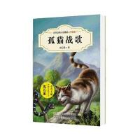 中外动物小说精品升级版孤猫战歌 沈石溪经典动物小说系列 7-10-14岁儿童文学读物三四五年级中小学生课外阅读书籍