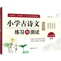 小学古诗文练习与测试 提高卷 3-6年级适用 三四五六年级小学语文课外文言文古诗文必背测试卷子复习辅导资料 华东理工