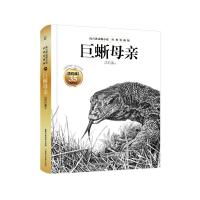 沈石溪动物小说单本巨蜥母亲正版精装儿童经典动物小说故事书籍经典爱藏版7-14周岁六年级四五年级中小学生课外书籍七