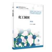 [旗舰店   ] 化工制图 第3版 孙安荣 主编 药剂 9787117263016 2018年9月规划教材 人民卫生