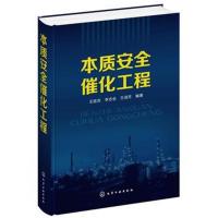 本质安全催化工程 化工催化反应书籍 纳微尺度反应集成 替代危反应物 化工 安全 材料  工程技术人员专业参考书籍