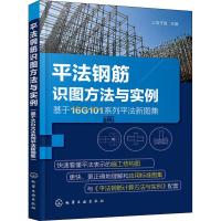 平法钢筋识图方法与实例 基于16G101系列平法新图集  平法钢筋识图基础施工图识读标准构造详图及识图实例 建筑施工