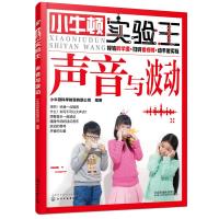小牛顿实验王 声音与波动 小学生课外读物 少儿科普  6-10-14 实验启蒙 小升初 STEM教育 趣味实验 科普