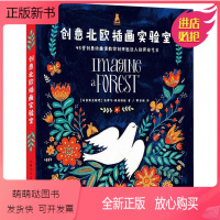 [正版新书]创意北欧插画实验室 9787558609329