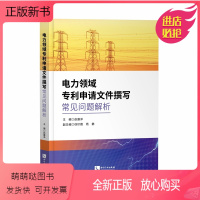 [正版新书]正版2022新书 电力领域专利申请文件撰写常见问题解析 赵露泽 撰写实务 撰写示 典型案例分析 知识产权出
