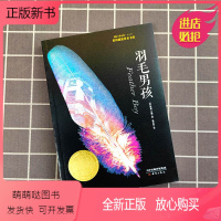 [追寻梦想]羽毛男孩 [正版新书]羽毛男孩书11-14岁初中六七八九年级青少年暑假阅读书籍中小学生课外书英国蓝彼得童书奖