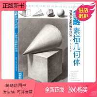 [正版新书]经典全集 全解素描几何体 8开石膏几何体结构静物临摹范本书籍初级入门4k零基础教材 杨建飞主编