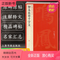 [正版新书]智永真草千字文 中国碑帖名品40 释文注释 繁体旁注 草书毛笔书法字帖碑帖 楷书草书毛笔字帖书法临摹临帖练