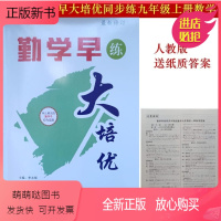 [正版新书]勤学早大培优9九年级数学全一册2023新版数学大培优九年级上册下册 送纸质答案勤学早大培优人教版初三勤学早