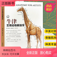 [正版新书]牛津艺用动物解剖学 中英对照版500余幅常见动物解剖结构示意图动物骨骼与肌肉运动结构 动物绘画技法解剖教程