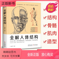 [正版新书]全解人体结构艺用解剖学工具书素描书籍美术绘画入门教程理解骨骼肌肉运动形体造型手绘技法图集教材完全指南 杨建