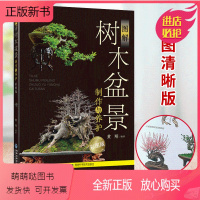 [正版新书]图解树木盆景制作与养护 树木盆景造型设计书籍制作参考宝典工具书花草树木植物图鉴家庭园艺设计盆栽种植生活养花