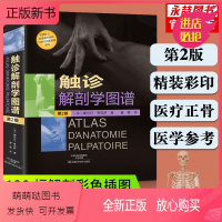 [正版新书][满2件减2元]人体解剖学彩色图谱奈特内科学触诊解剖学图谱第2版精装彩印版插图医疗正骨按摩运动疗法工具书医