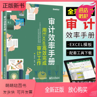 [正版新书]审计效率手册 用Excel高效完成审计工作 审计效率提升工具 详解如何利用excel组合工具提升审计效率