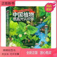 中国植物很高兴认识你全4册 [正版新书]婷婷姐姐中国植物很高兴认识你全4册自然科普绘本图鉴6- 5-12岁儿童书籍少儿读