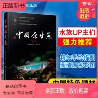 [正版新书]中国原生鱼 第一辑 中国特色原生鱼种类介绍书籍 观赏鱼原生观赏鱼图鉴书淡水鱼类溪流冷水鱼观赏鱼 鱼类科普书