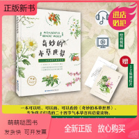 [正版新书]2022新书 奇妙的本草世界 二十四节气本草百科 中医文化 少儿科普书籍 中小学生儿童学习本草知识大全书籍