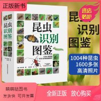 [正版新书][全新正版]昆虫识别图鉴 1004种昆虫1600多张高清照片自然百科知识读物全书科普书韩永植动物世界昆虫图