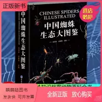 [正版新书]正版 中国蜘蛛生态大图鉴 昆虫图鉴蜘蛛学蜘蛛生态识别 蜘蛛知识档案书动物百科 71科种类达1139种蜘