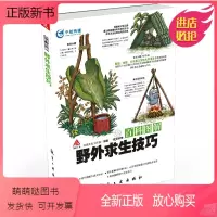 [正版新书]百科图解野外求生技巧 青少年军事科普知识读本 军事类书籍 军迷书籍 军事爱好者书籍 军事科技类书籍 航空