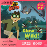 [正版新书]Glow Wild 动物兄弟:发光的野生动物 儿童科普绘本黑夜动物知识 平装 英文原版 9岁