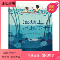 池塘上,池塘下 [正版新书]池塘上,池塘下 精装图画书唯美科普绘本引进孩子走进大自然文学艺术与自然知识融合4-8岁阅读