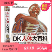 [正版新书]DK人体大百科人体视觉图鉴 图解人体奥秘大百科全书 人体学 正常人体结构书 生活百科全书 青少年科普知识书