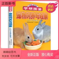 [正版新书]学研图鉴 宠物饲养与观察 日本学研教育出版 百科知识全书自然科普漫画书课外阅读书