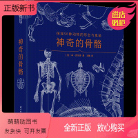 [正版新书]神奇的骨骼探秘96种动物的形态与奥秘500幅手绘骨骼版画详解96种动物骨骼知识骨骼演化过程图谱骨骼艺术画册