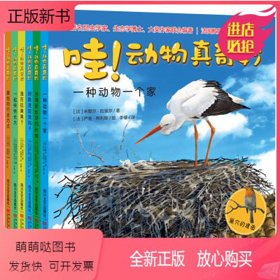 动物真奇妙[全套6册] [正版新书]哇!动物真奇妙全套6册 早教启蒙绘本3-4-5-6岁儿童读物启蒙认知绘本趣味科普图书