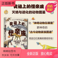 单本全册 [正版新书]我祖上的怪亲戚 灭绝与进化的动物图鉴 川崎悟司 跟动物交换身体作者新书 日本科普神作动物进化奥秘行
