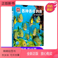 [正版新书]各种各样的鱼 水下的奇妙世界 什么是什么珍藏版第三辑 德国少年儿童百科知识全书 鱼类大全 认识鱼 关于鱼类