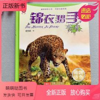 [正版新书]锦衣猎手硬壳精装绘本大图大字绘本揭秘陆地动物世界图书籍儿童趣味科普知识豹子3-6-8-10岁青少年科学百科