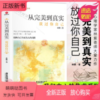 [正版新书]我们内心的焦虑系列]从完美到真实;放过你自己正版林紫著心理学入门基础书籍心灵疗愈抑郁症自我治疗书籍远离焦虑