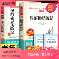 [全2册]汤姆索亚历险记+鲁滨逊漂流记 [正版新书]鲁滨逊漂流记原著完整版汤姆索亚历险记六年级下册课外书必读正版书目快乐