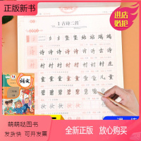 一笔好字 写字课课练同步字帖 二年级下册 [正版新书]正版小学生写字课课练同步字帖2二年级下册字帖临摹字帖儿童钢笔圆