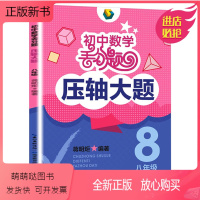 [正版新书]初中数学丢分题压轴大题八年级