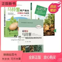 [正版新书]3本 马铃薯高产栽培关键技术问答+彩图版马铃薯栽培及病虫害绿色防控+马铃薯绿色优质高效栽培技术 蔬菜土豆种