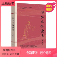[正版新书]潮汕文化源流 黄挺著 一本书读懂潮汕 民俗文化建筑美食 客家文化中原传统文化 自然地理人文现象 地方史志类