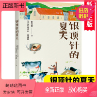 银顶针的夏天 [正版新书]纽伯瑞金奖作品 银顶针的夏天 中文分级阅读K6 大奖儿童文学美绘典藏版9-10-12岁小学生课