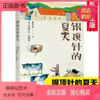 银顶针的夏天 [正版新书]纽伯瑞金奖作品 银顶针的夏天 中文分级阅读K6 大奖儿童文学美绘典藏版9-10-12岁小学生课