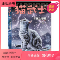 猫武士七部曲(破灭守则1迷失群星) [正版新书][单册任选]猫武士七部曲破灭守则全套6册 适读年龄10-15岁读物 小学