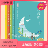 金波诗意美文系列 [正版新书] 金波诗意美文系列全套4册 月亮湖+湖边的雕像+会走路的雪人+面对一棵树 王金波四季文